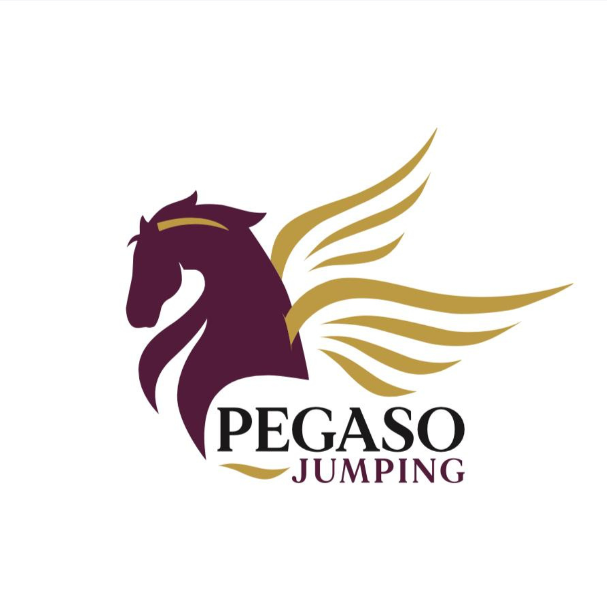 CENTRO IPPICO PEGASO