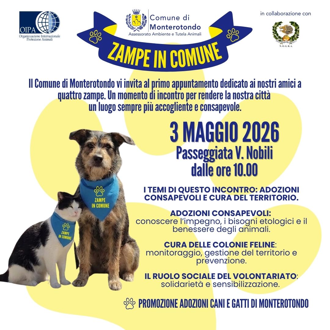 Zampe in Comune